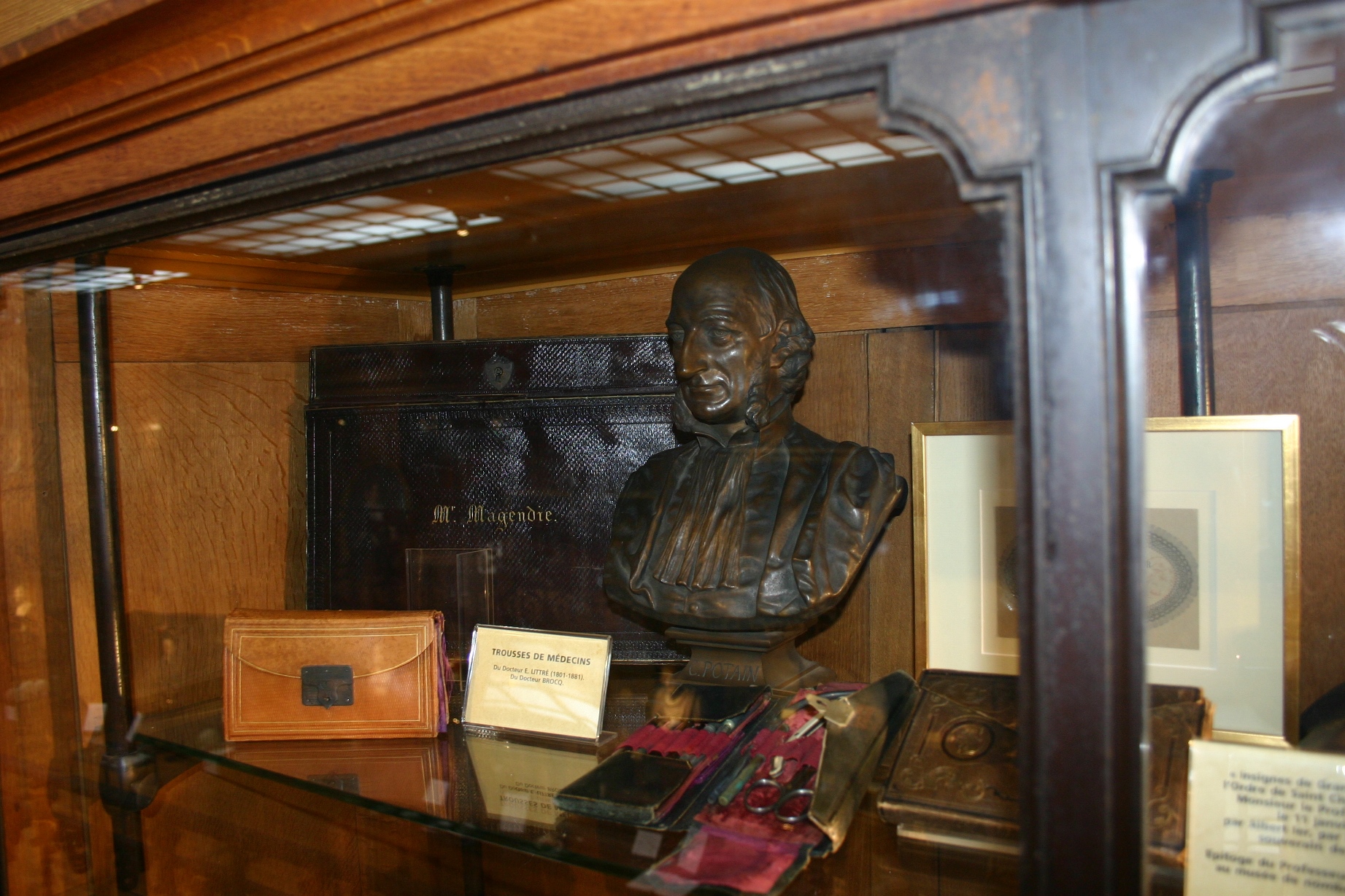 Pierre Charles Édouard Potain's bust, Musée d'Histoire de la Médecine, Paris - 01.JPG